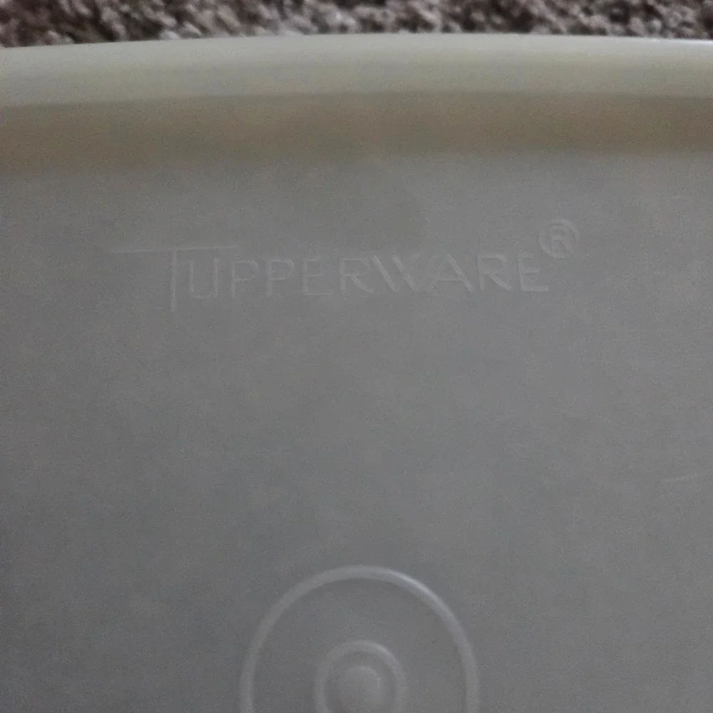 Vintage Tupperware Hot Dog/Bacon/Deli Meat Keeper Marinade Container (1292-7)‎